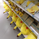 Image for article titled Some of Japan's Most Memorable Twitter Pics of 2014